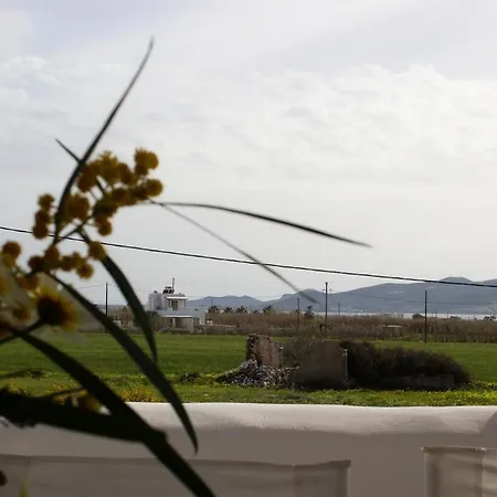 Sunny House Tatil Evi Pounda