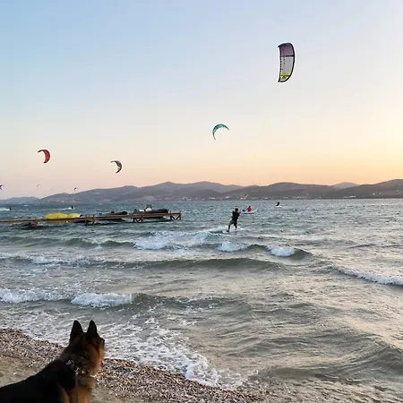 Sunny House * Pounda