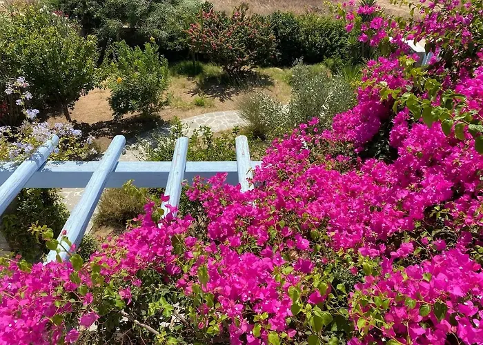 Sunny House Hébergement de vacances Pounda